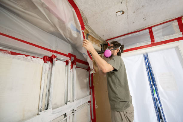Trusted Homosassa, FL Mold Removal Experts