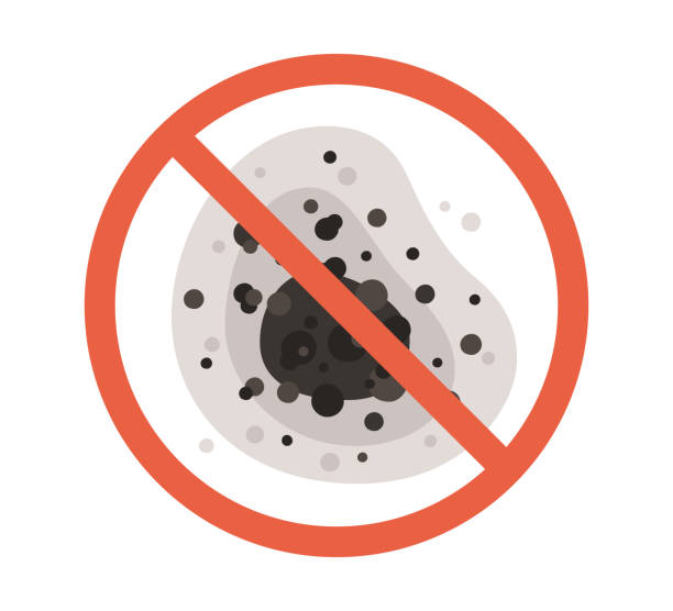 Best Mold-Related Health Consultation  in Homosassa, FL