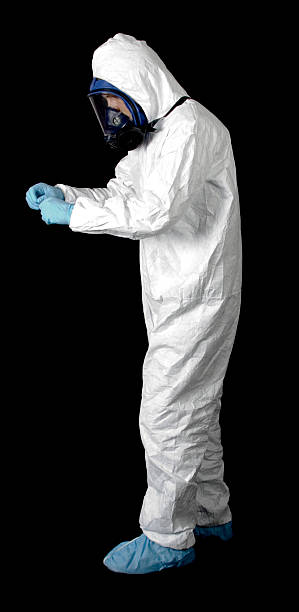 Best Black Mold Removal  in Homosassa, FL